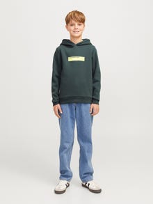 Jack & Jones Spausdintas raštas Džemperis Jaunimui -Urban Chic - 12271328