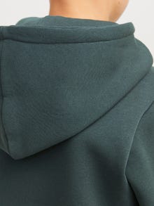 Jack & Jones Spausdintas raštas Džemperis Jaunimui -Urban Chic - 12271328