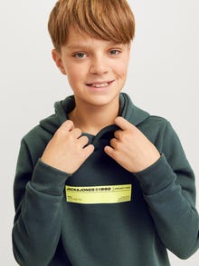 Jack & Jones Spausdintas raštas Džemperis Jaunimui -Urban Chic - 12271328