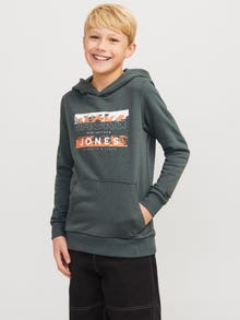Jack & Jones Z logo Bluza z kapturem Junior -Urban Chic - 12271369