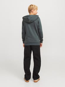 Jack & Jones Z logo Bluza z kapturem Junior -Urban Chic - 12271369