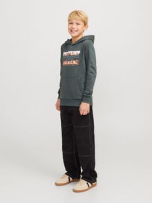 Jack & Jones Z logo Bluza z kapturem Junior -Urban Chic - 12271369