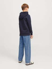 Jack & Jones JJIALEX JJORIGINAL SQ 042 JNR Baggy džinsai Jaunimui -Blue Denim - 12272094