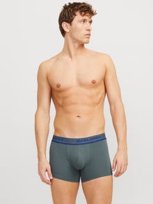 Jack & Jones 5-pakuotės Trumpikės -Stormy Weather - 12272153