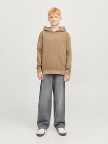 Jack & Jones JJIALEX ORIGINAL SQ 051 JNR Jeans i baggy fit Junior -Grey Denim - 12272241