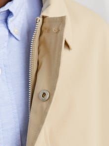 Jack & Jones Consigue el look - 2111202685