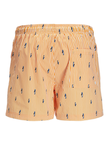 Jack & Jones Klasikinis kirpimas Maudymosi šortai -Iceland Poppy - 12272933