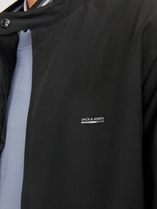Jack & Jones Consigue el look - 2111202874