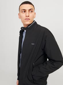 Jack & Jones Consigue el look - 2111202874