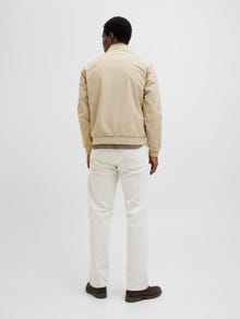 Jack & Jones Giubbotto bomber -White Pepper - 12273393
