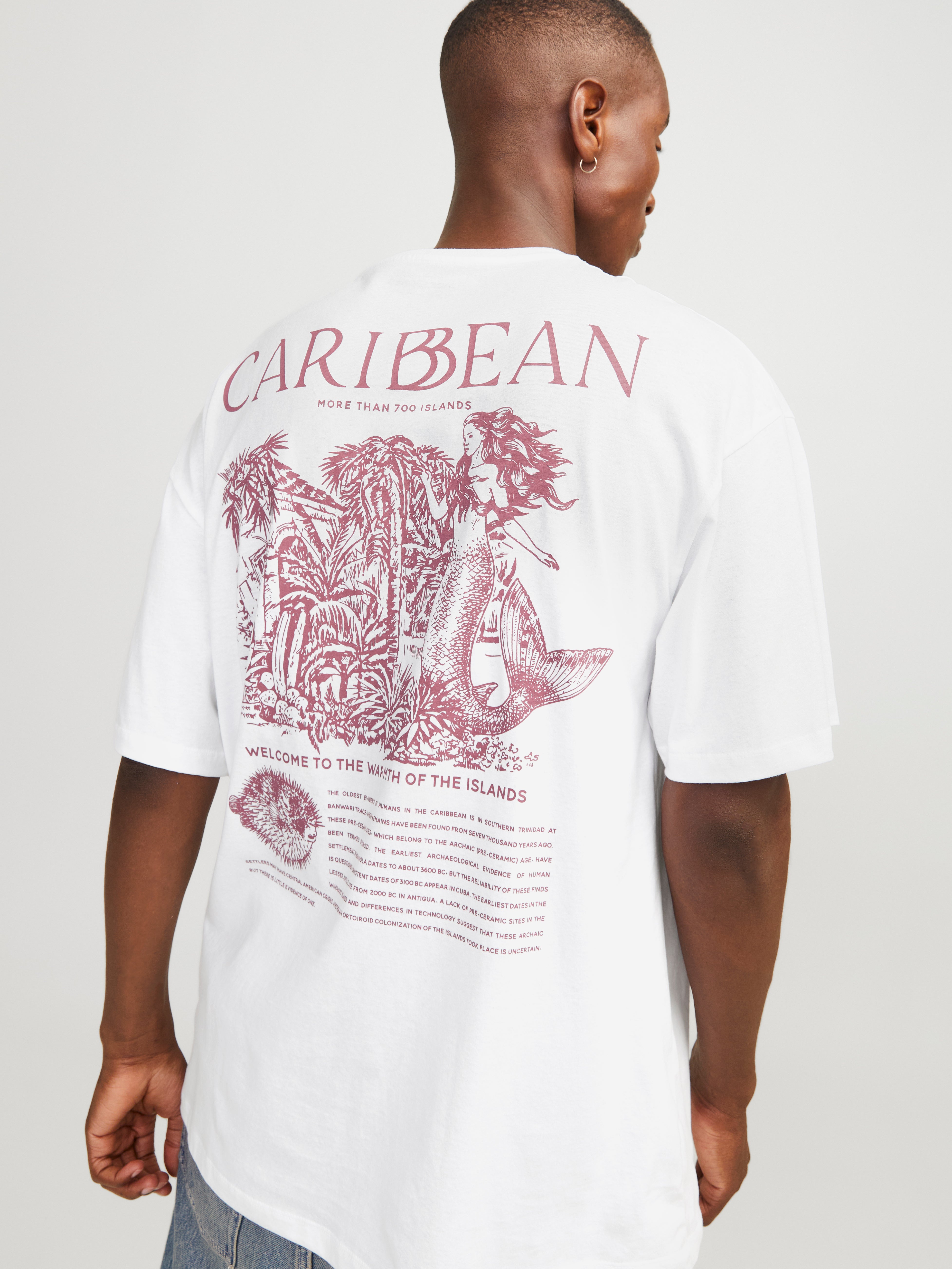 Jack & Jones Printed Crew neck T-shirt - 12273438