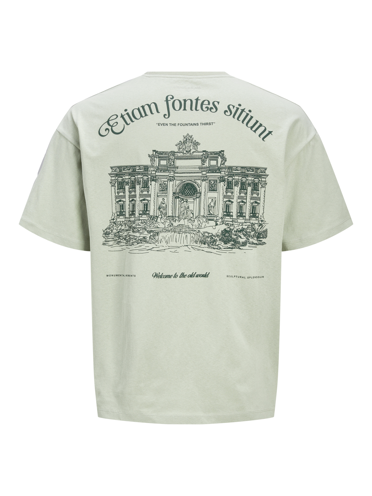 Jack & Jones Gedruckt Rundhals T-shirt -Desert Sage - 12273445