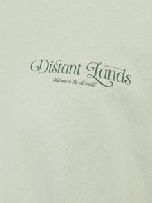 Jack & Jones Trykk O-hals T-skjorte -Desert Sage - 12273445