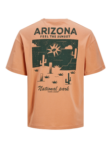 Jack & Jones Nadruk Okrągły dekolt T-shirt -Canyon Sunset - 12273450