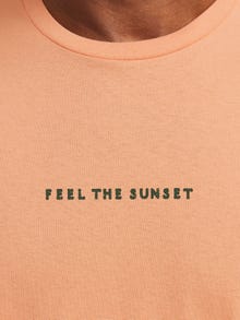 Jack & Jones Gedrukt Ronde hals T-shirt -Canyon Sunset - 12273450