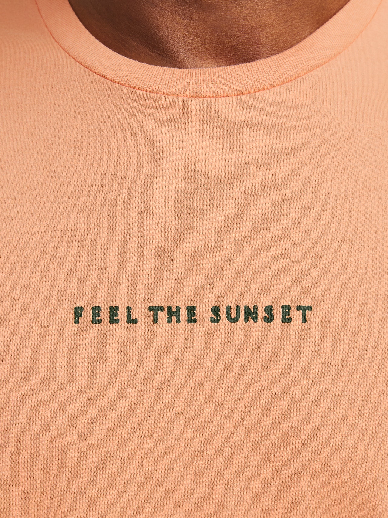 Jack & Jones Printed Crew neck T-shirt -Canyon Sunset - 12273450