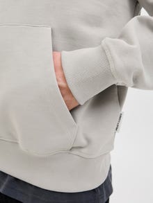 Jack & Jones Rückenprint Kapuzenpullover -Paloma - 12273915