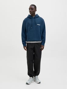 Jack & Jones Backprintet Hoodie -Titan - 12273915