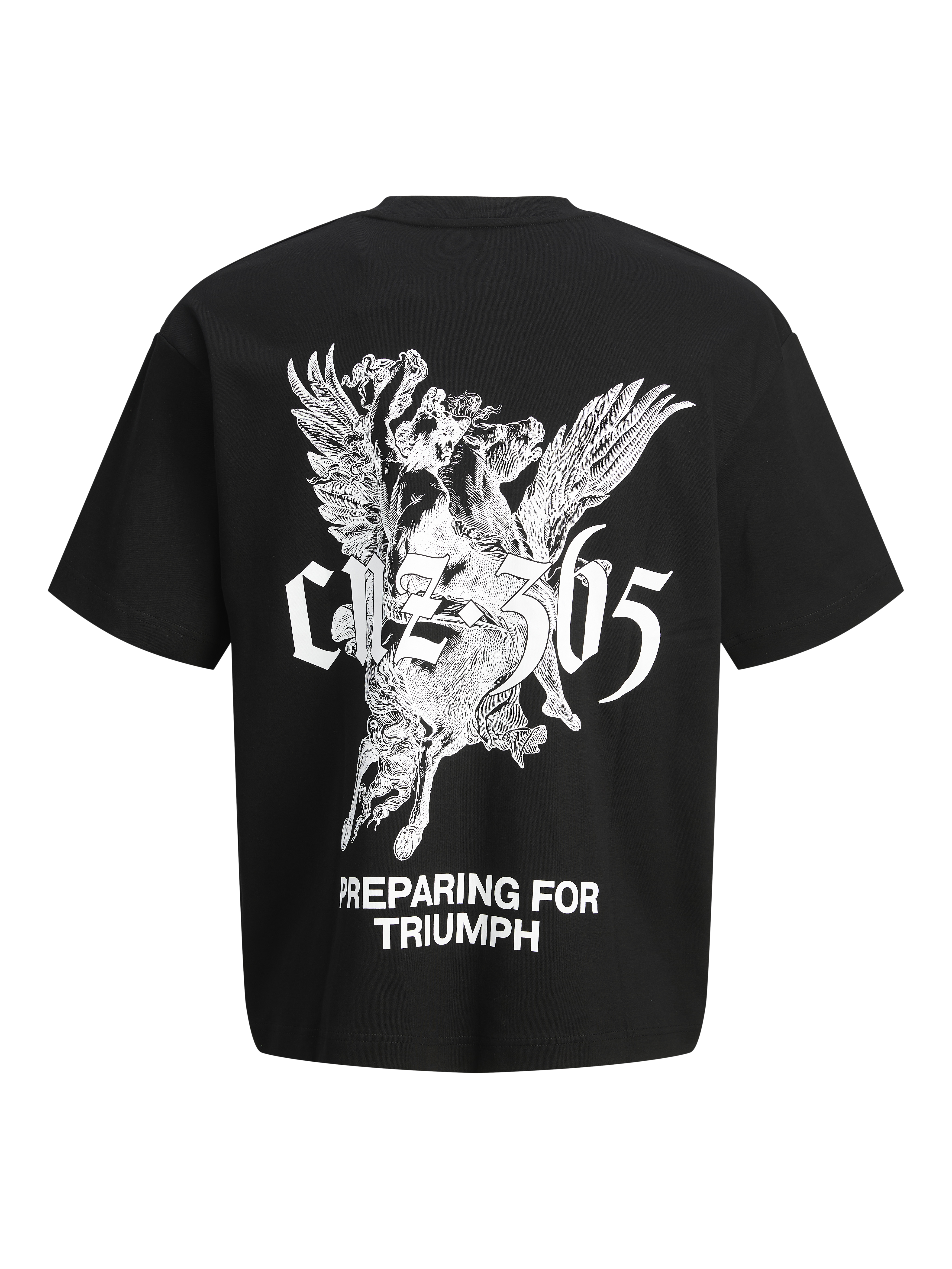 Thumbnail - Rückenprint Rundhals T-shirt Cnz