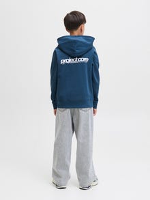 Jack & Jones Achterkant bedrukt Hoodie Junior -Titan - 12274579