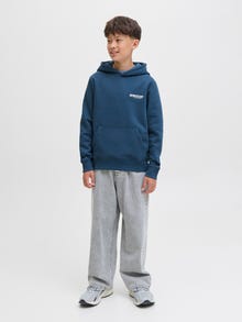 Jack & Jones Achterkant bedrukt Hoodie Junior -Titan - 12274579