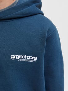Jack & Jones Achterkant bedrukt Hoodie Junior -Titan - 12274579