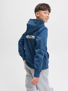 Jack & Jones Achterkant bedrukt Hoodie Junior -Titan - 12274579