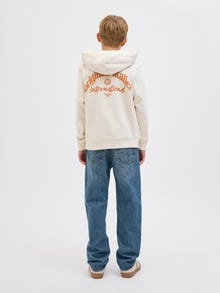 Jack & Jones Shop den Look - 2111203631