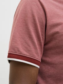 Jack & Jones Vienspalvis Polo kaklas Marškinėliai -Tandoori Spice - 12274681