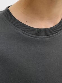 Jack & Jones Tavapärane lõige Kinnine kaelus Juunior T-särk -Volcanic Ash - 12274774