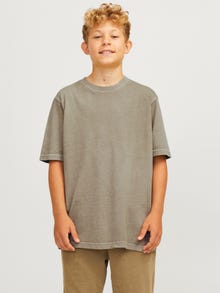 Jack & Jones Vienspalvis Marškinėliai Jaunimui -Silver Sage - 12274792