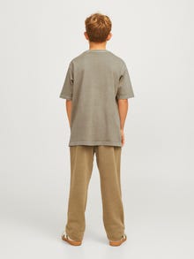 Jack & Jones Vienspalvis Marškinėliai Jaunimui -Silver Sage - 12274792