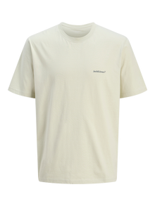 Jack & Jones Spausdintas raštas Marškinėliai Jaunimui -Celadon Tint - 12274920