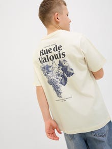 Jack & Jones Spausdintas raštas Marškinėliai Jaunimui -Antique White - 12274930