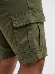 Jack & Jones Plius Laisvas kirpimas Cargo šortai -Olive Night - 12275836