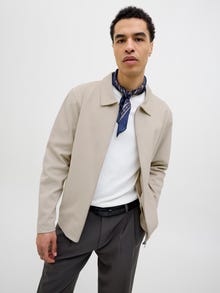 Jack & Jones Plain Sweatshirts -Silver Lining - 12276047