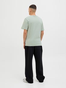 Jack & Jones Gedruckt Rundhalsausschnitt T-shirt -Aqua Gray - 12276489