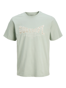 Jack & Jones Printed Crew neck T-shirt -Aqua Gray - 12276496