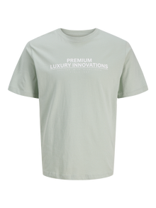 Jack & Jones T-shirt Imprimé Col ras du cou -Aqua Gray - 12276502