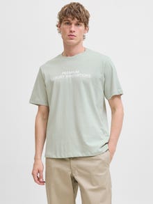 Jack & Jones Bedrukt T-shirts -Aqua Gray - 12276502