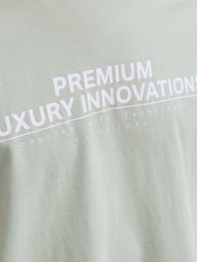 Jack & Jones Bedrukt T-shirts -Aqua Gray - 12276502