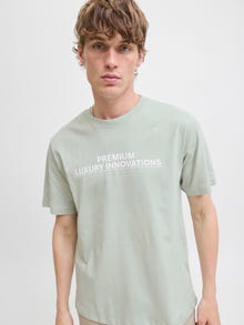 Jack & Jones Bedrukt T-shirts -Aqua Gray - 12276502