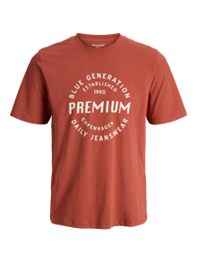Jack & Jones Gedruckt Rundhalsausschnitt T-shirt -Tandoori Spice - 12276503