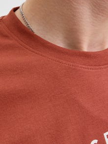 Jack & Jones Tryck Rundringning T-shirt -Tandoori Spice - 12276503