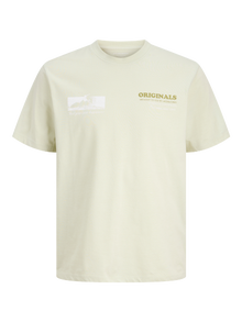 Jack & Jones T-shirt -Celadon Tint - 12276512