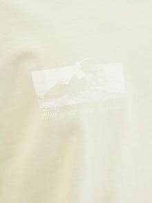 Jack & Jones T-shirt -Celadon Tint - 12276512