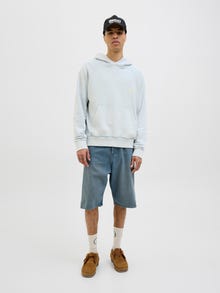 Jack & Jones Back printet Hættetrøje -Skyway - 12277540