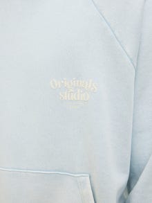 Jack & Jones Back printet Hættetrøje -Skyway - 12277540