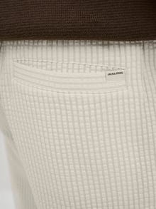 Jack & Jones Laisvas kirpimas Šortai -Moonbeam - 12277557