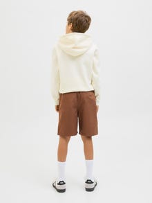 Jack & Jones Baggy fit Short chino Junior -Emperador - 12277601